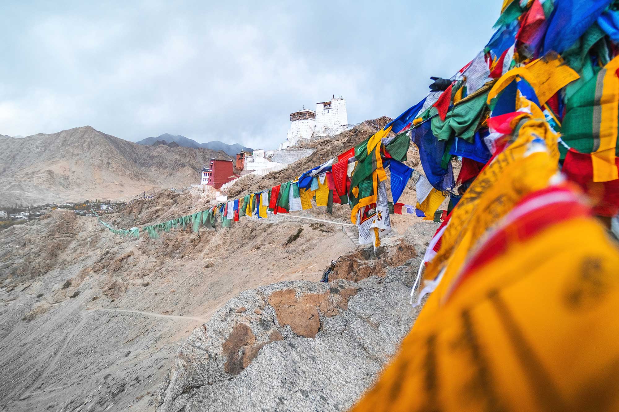 view-landscape-namgyal-tsemo-gompa-leh-ladakh-india