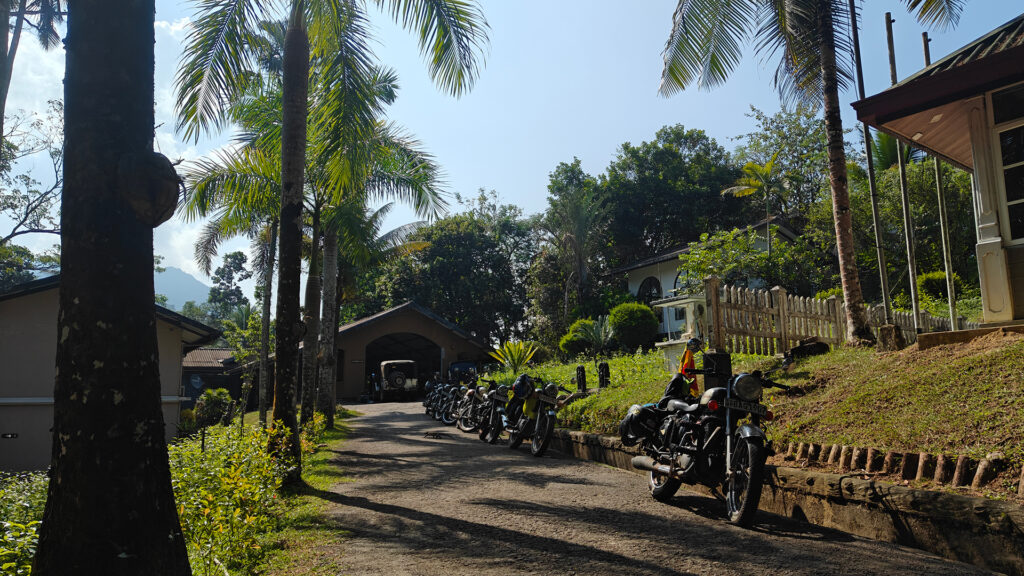 Serendipity in Serendip